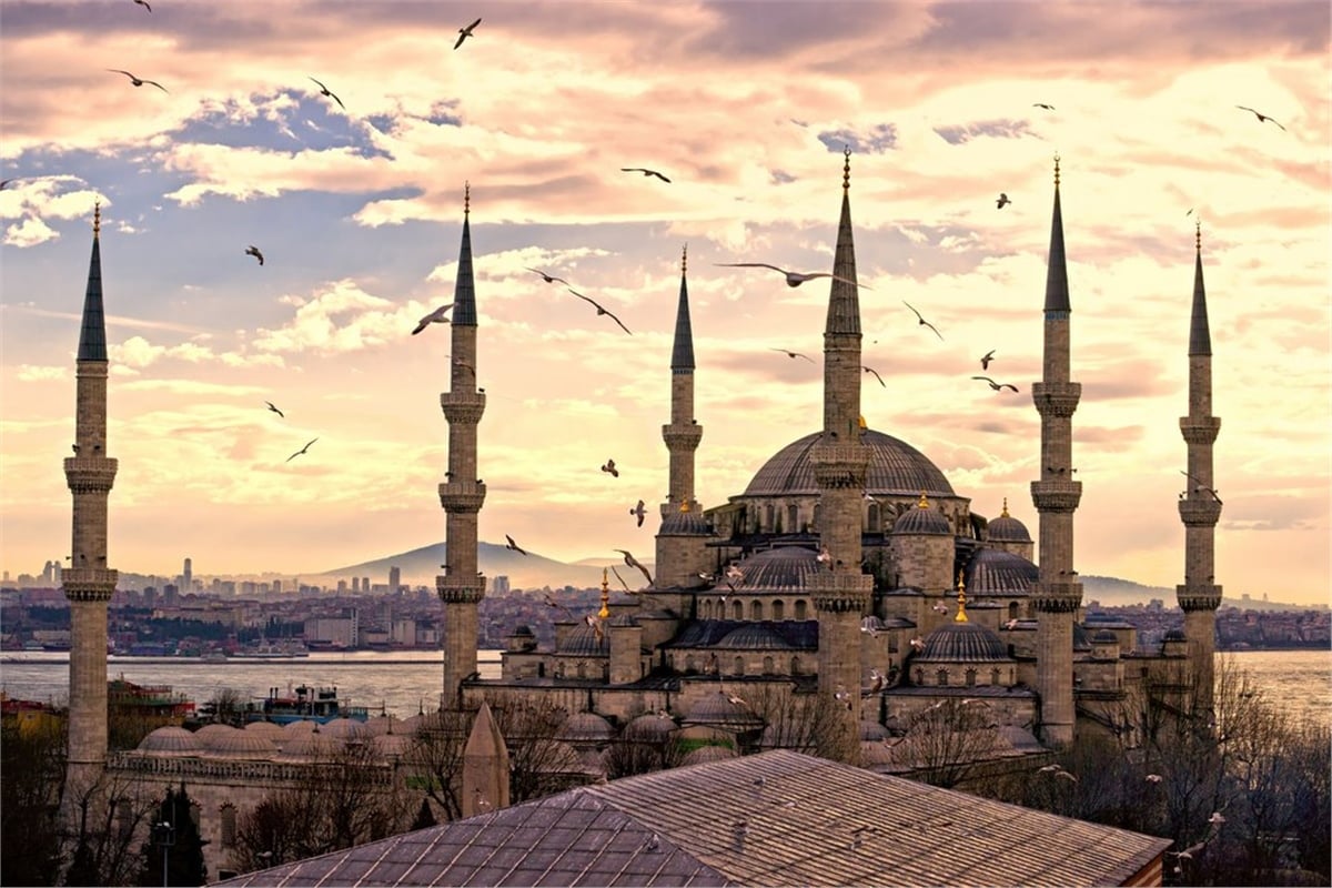 Zeytin İle İlgili Ayetler Nelerdir?