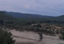 ASAYİŞAydın’da evin bahçesinde el bombası bulundu!