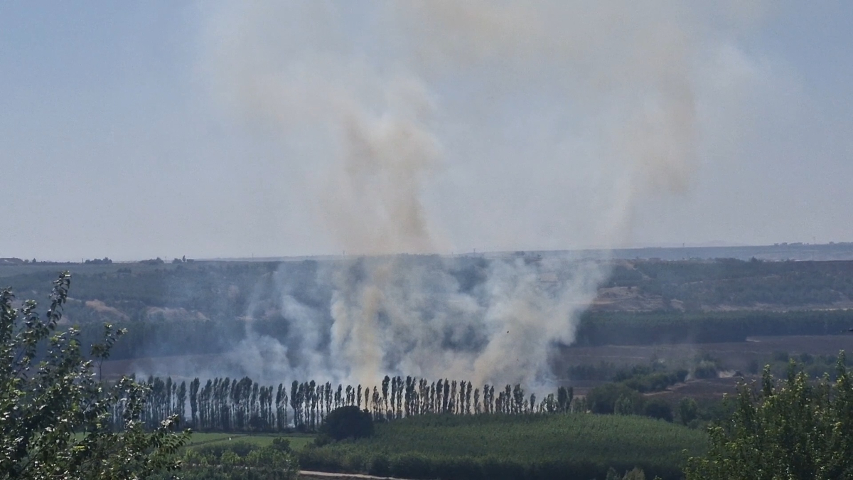 Diyarbakır Hevsel Bahçeleri’nde anız yangını