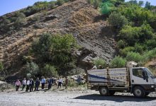 Kayalık alandan düşen 334 küçükbaş hayvan telef oldu