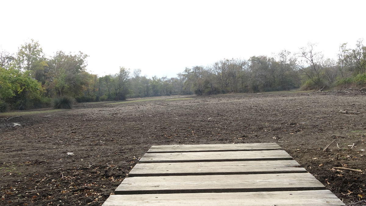 Karacabey Longozu, Türkiye’nin Üçüncü Büyük Longozu Kurudu