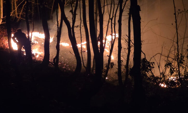 Ordu’da Fındık Bahçesindeki Yangın Ormana Sıçradı Ordu’da Fındık Bahçesindeki Yangın Ormana Sıçradı